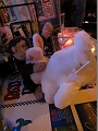 RNH_LXXIII (24)
